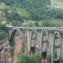 фото из отзыва ID 1139274