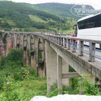 фото из отзыва ID 1139274