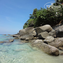 фото из отзыва ID 1139314