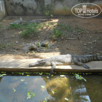 фото из отзыва ID 1139397