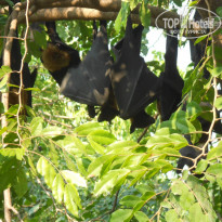 фото из отзыва ID 1139397