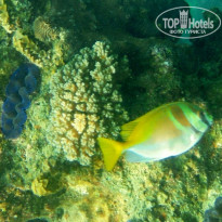 фото из отзыва ID 1139468