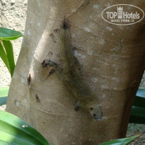 фото из отзыва ID 1139468