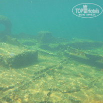 фото из отзыва ID 1139468