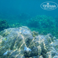 фото из отзыва ID 1139468