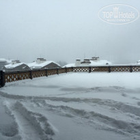 фото из отзыва ID 1139735