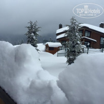 фото из отзыва ID 1139735