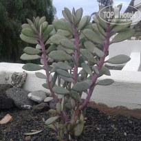 фото из отзыва ID 1139841