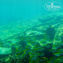 фото из отзыва ID 1139468