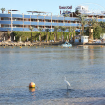 фото из отзыва ID 1137838