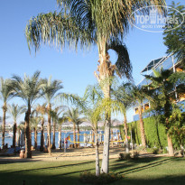 фото из отзыва ID 1137838