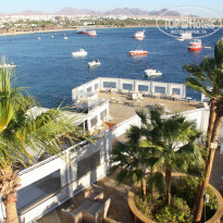 фото из отзыва ID 1137838