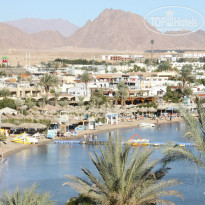 фото из отзыва ID 1137838