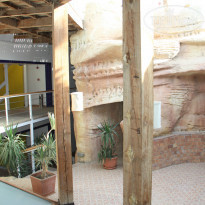 фото из отзыва ID 1137838