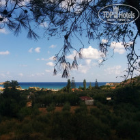 фото из отзыва ID 1136760