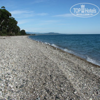 фото из отзыва ID 1139259