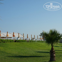 фото из отзыва ID 1136138