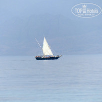 фото из отзыва ID 1138858