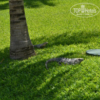 фото из отзыва ID 1136436