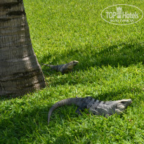 фото из отзыва ID 1136436