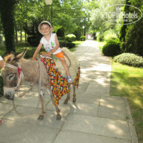 фото из отзыва ID 1132386