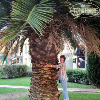 фото из отзыва ID 1130106