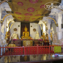 фото из отзыва ID 1133324