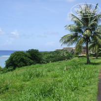 фото из отзыва ID 114102