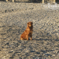 фото из отзыва ID 114285