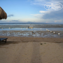 фото из отзыва ID 114496