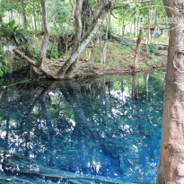 фото из отзыва ID 1140033