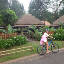 фото из отзыва ID 1140474