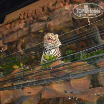 фото из отзыва ID 1140839