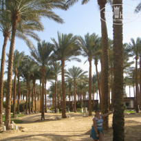 фото из отзыва ID 1140842