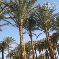 фото из отзыва ID 1140842