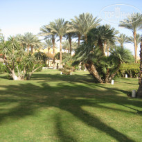 фото из отзыва ID 1140842