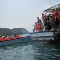 фото из отзыва ID 1140706