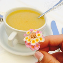 фото из отзыва ID 1141022