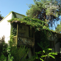 фото из отзыва ID 1141032