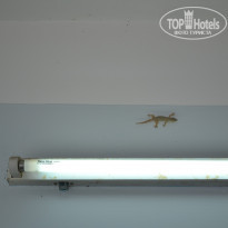 фото из отзыва ID 1141094