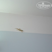 фото из отзыва ID 1141094