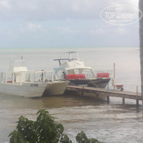 фото из отзыва ID 1141125