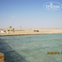 фото из отзыва ID 1140842