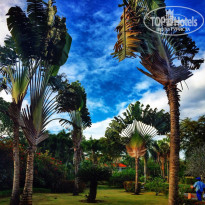 фото из отзыва ID 1141261