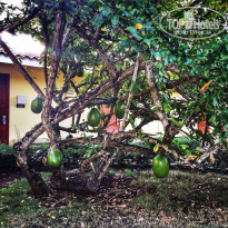 фото из отзыва ID 1141261