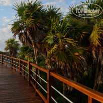 фото из отзыва ID 1141271