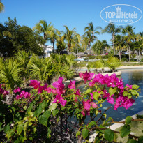 фото из отзыва ID 1141271