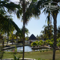 фото из отзыва ID 1141271