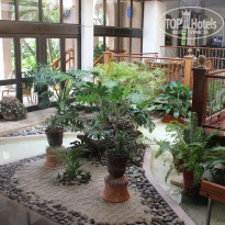 фото из отзыва ID 1141341