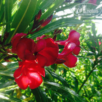 фото из отзыва ID 1141368